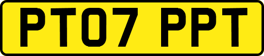 PT07PPT