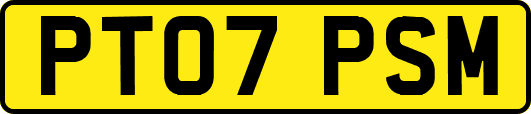 PT07PSM