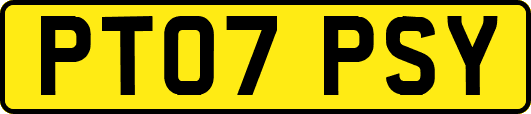 PT07PSY
