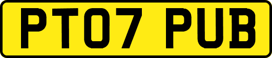 PT07PUB
