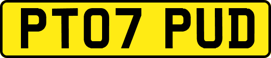 PT07PUD
