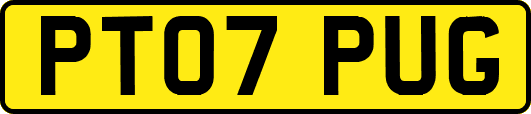 PT07PUG