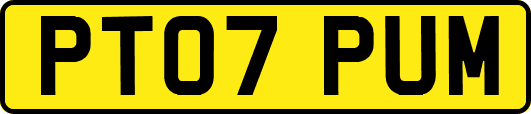 PT07PUM