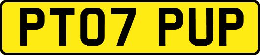PT07PUP