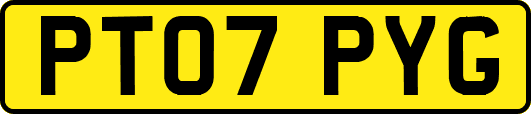 PT07PYG