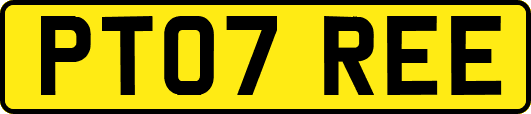 PT07REE