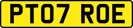 PT07ROE