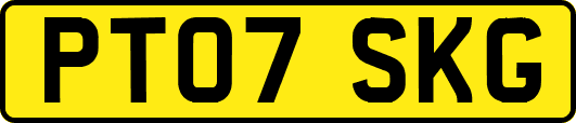PT07SKG