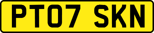 PT07SKN