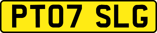 PT07SLG