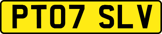 PT07SLV