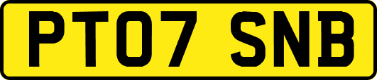 PT07SNB