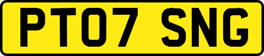 PT07SNG