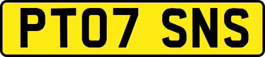 PT07SNS
