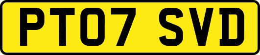PT07SVD