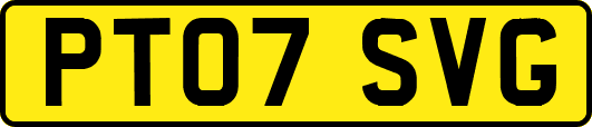 PT07SVG