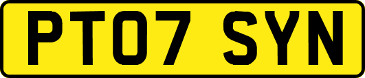 PT07SYN