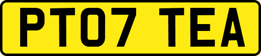 PT07TEA