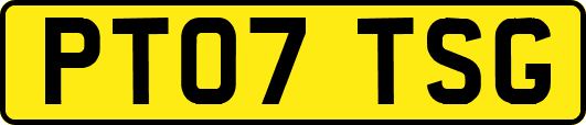 PT07TSG