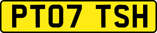 PT07TSH