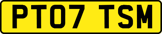 PT07TSM
