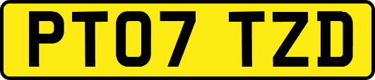 PT07TZD