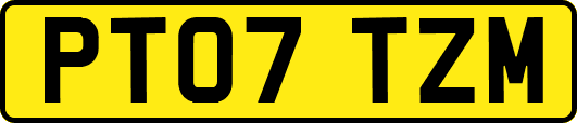 PT07TZM