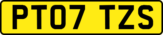 PT07TZS