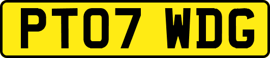 PT07WDG