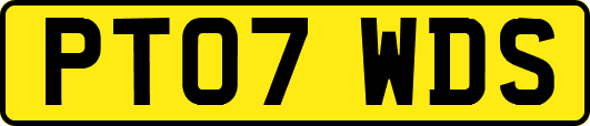 PT07WDS