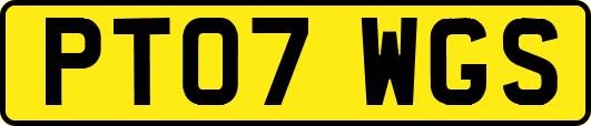 PT07WGS