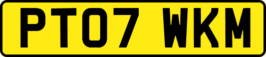 PT07WKM