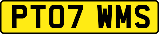 PT07WMS