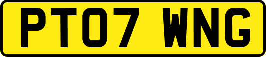 PT07WNG