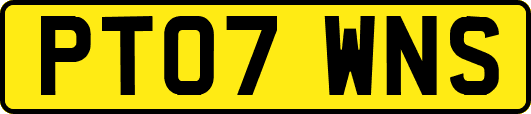 PT07WNS