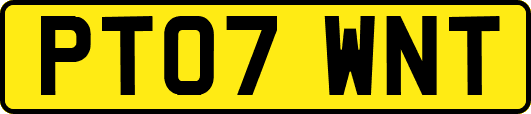 PT07WNT