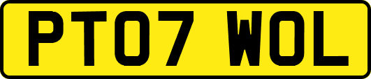 PT07WOL