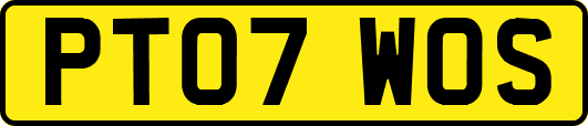 PT07WOS