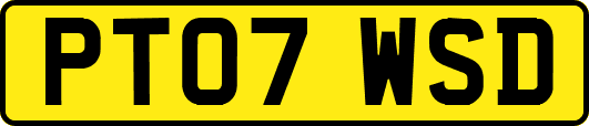 PT07WSD