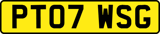 PT07WSG