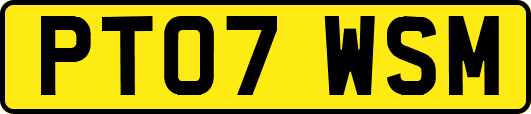 PT07WSM