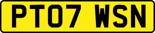 PT07WSN