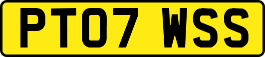 PT07WSS