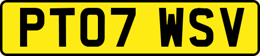 PT07WSV