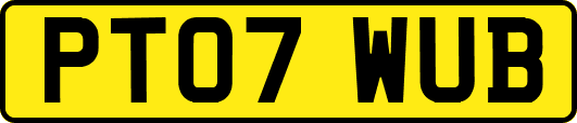 PT07WUB