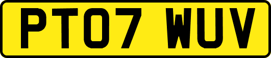 PT07WUV