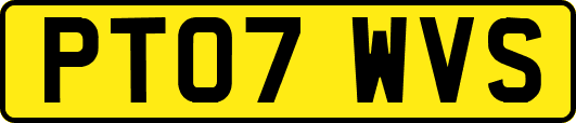PT07WVS