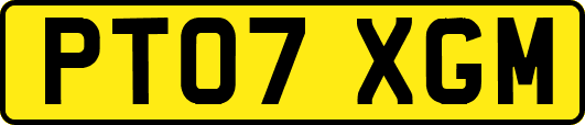 PT07XGM