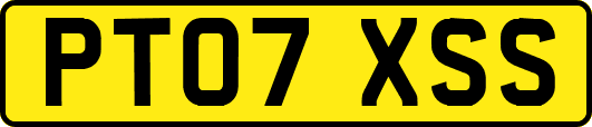 PT07XSS