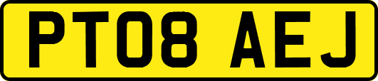 PT08AEJ